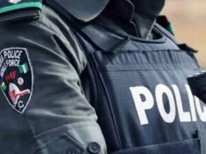 THE NIGERIA POLICE FORCE CAUTION AGAINST JUNGLE JUSTICE 