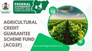 BANKS SHUN AGRIC LENDING DESPITE CREDIT GUARANTEE SCHEME